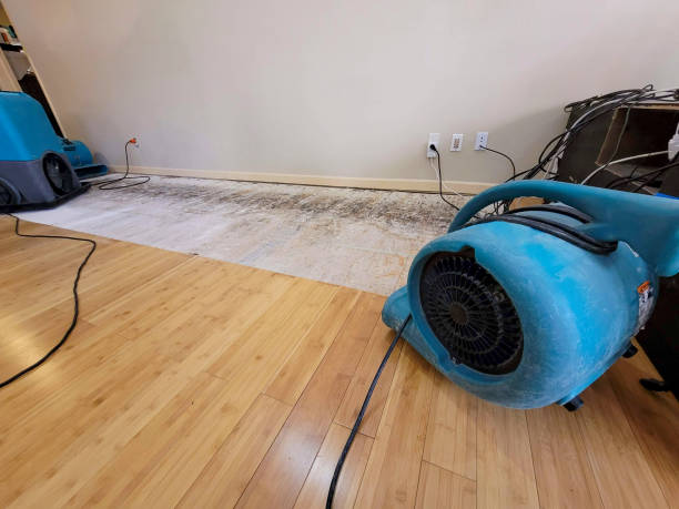 Reliable Basement Flood Cleanup contractor in Claremore, OK by Hirex Water Damage