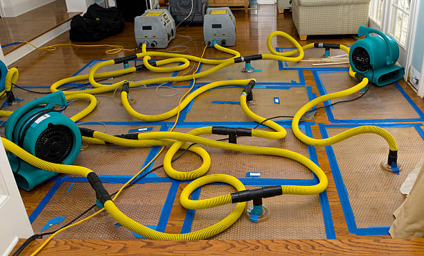 Professional Basement Flood Cleanup technician working in Claremore, OK